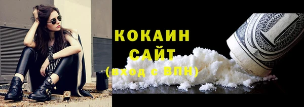 прущие крисы Гусев