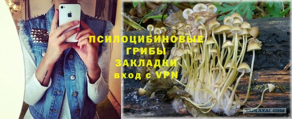 бутират Шарыпово