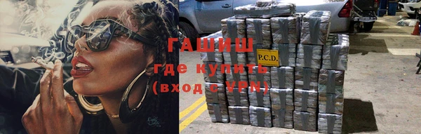 прущие крисы Гусев