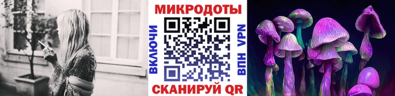 Псилоцибиновые грибы Psilocybe Моршанск
