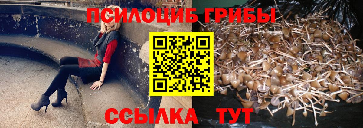 Галлюциногенные грибы MAGIC MUSHROOMS Моршанск
