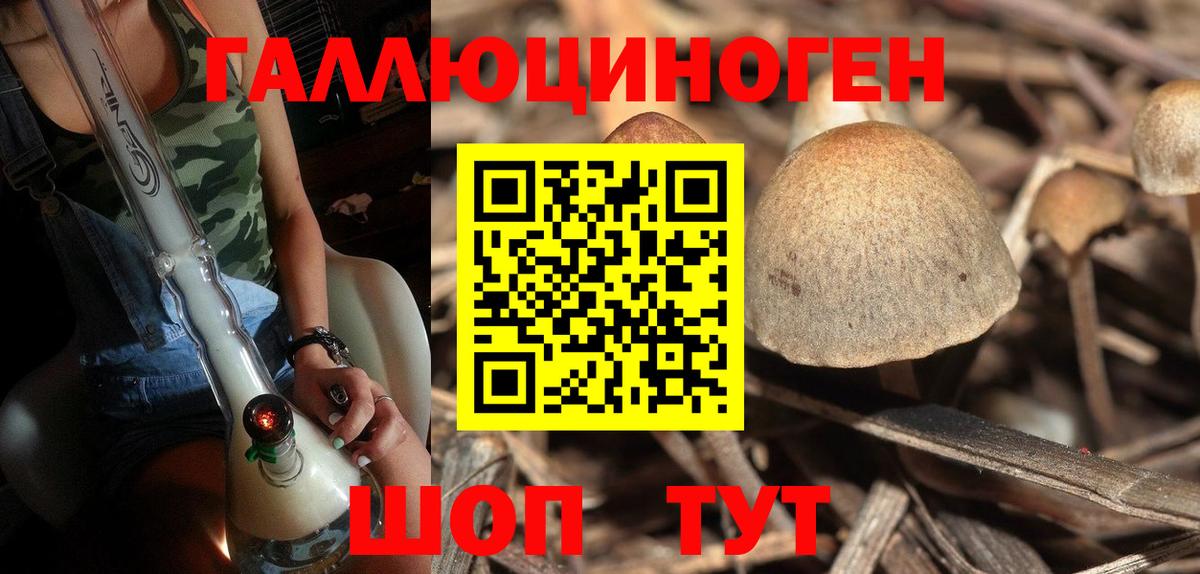 Псилоцибиновые грибы Psilocybe  Моршанск 