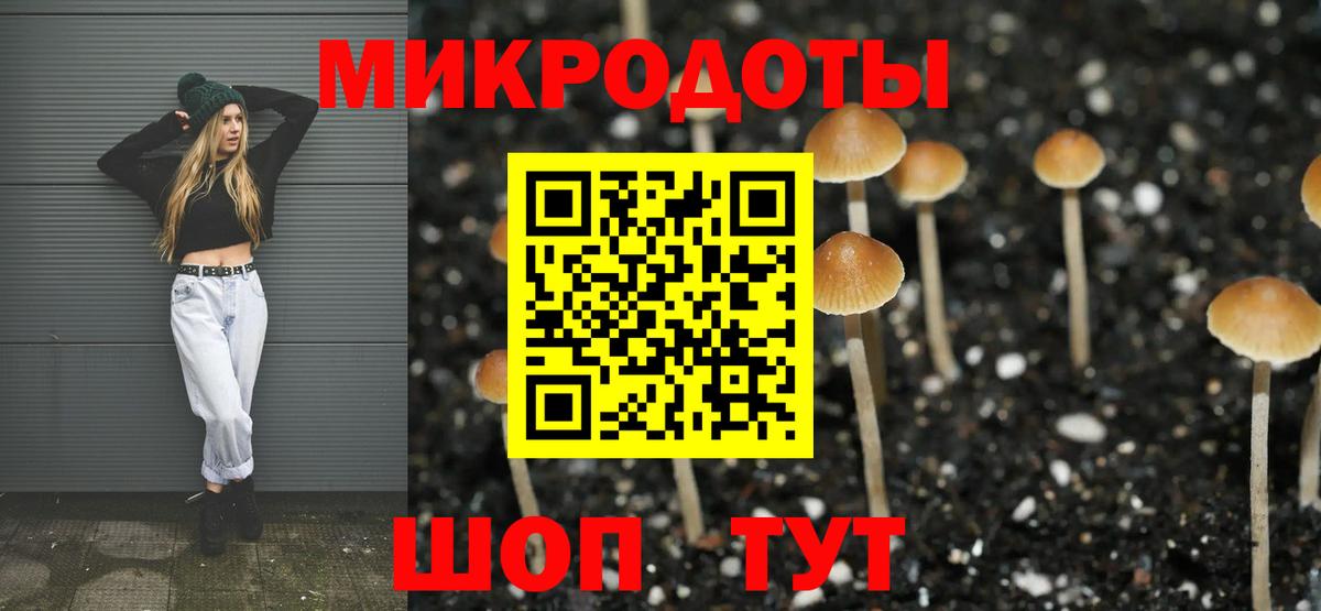 Моршанск  Псилоцибиновые грибы MAGIC MUSHROOMS  Вход с VPN 