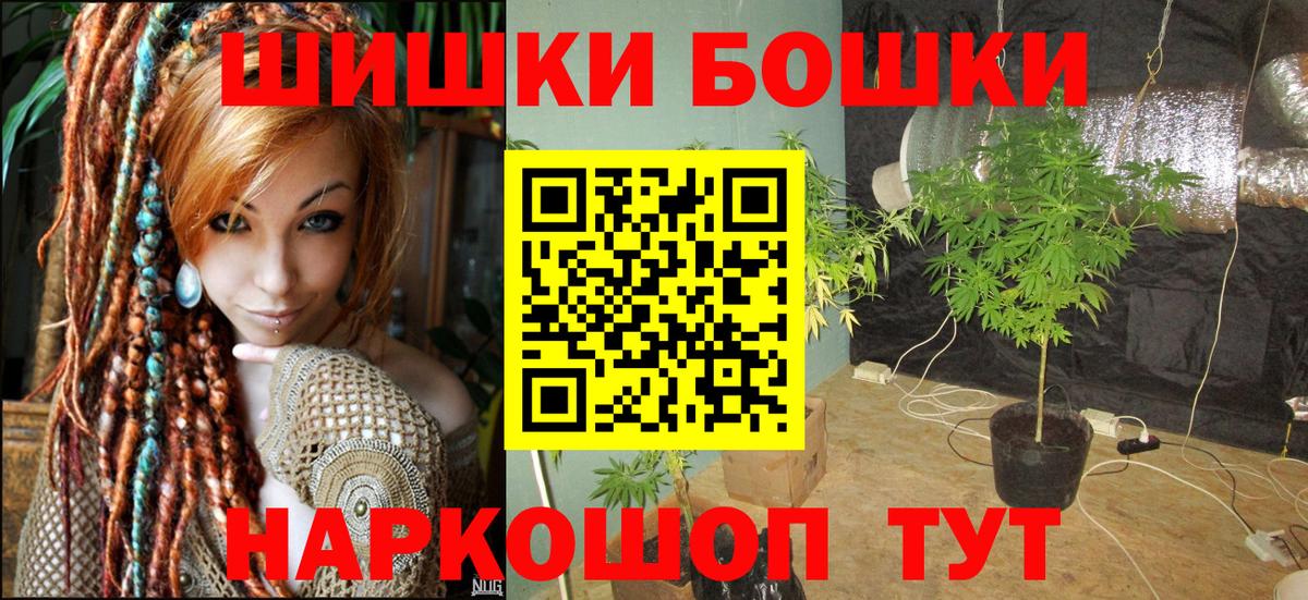 Марихуана план  Моршанск  Марихуана OG Kush 